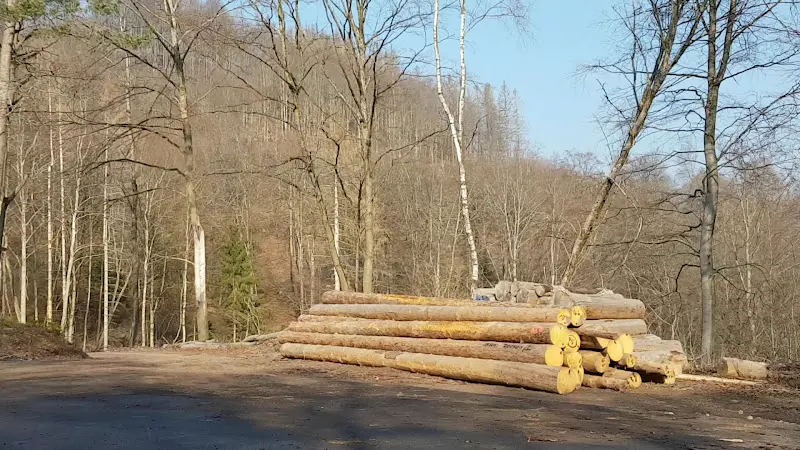 Gaststätte Alheimerhütte_Fulda_slider_image_2