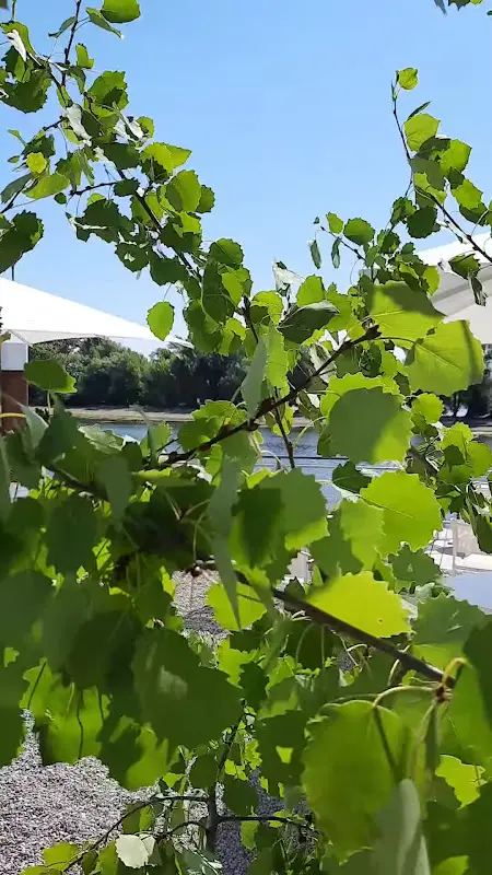 ALLENDORF AM RHEIN_Oestrich-Winkel_slider_image_2