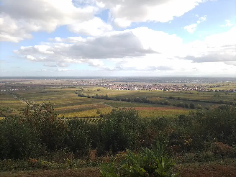 Erol KARACA_Zeter Berghaus_Weinstraße_review