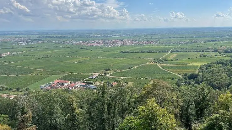 Wendlings Hambacher Winzer_Weinstraße_slider_image_1