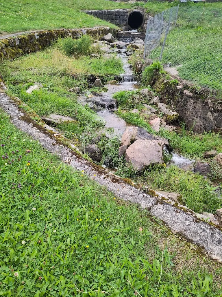 Alex Andra_Hotel & Gasthof Tannenmühle - Baschnagel GmbH & Co. KG_Grafenhausen_review