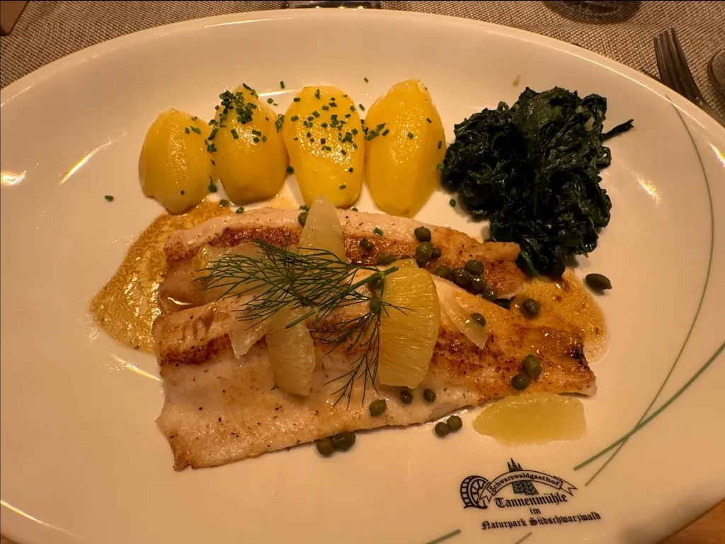 Leon Voskov_Hotel & Gasthof Tannenmühle - Baschnagel GmbH & Co. KG_Grafenhausen_review