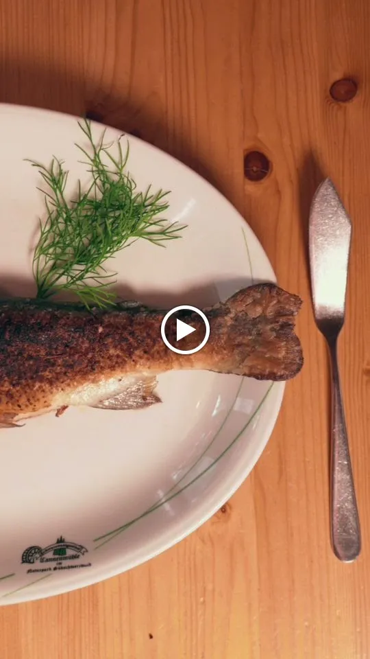 Hotel & Gasthof Tannenmühle - Baschnagel GmbH & Co. KG_Grafenhausen_slider_image_2