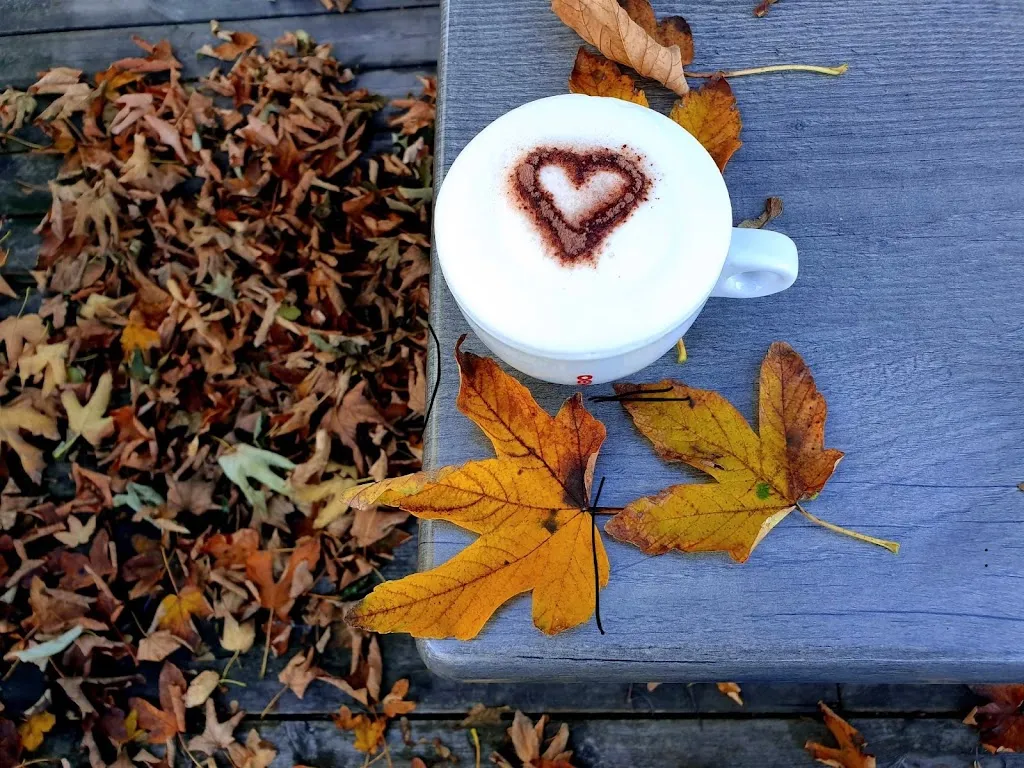 Braukessel_Schwarzwald_slider_image_2