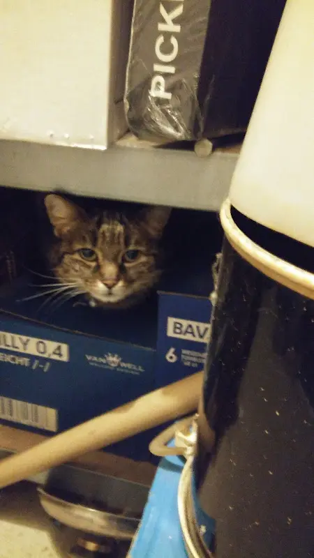 Gaststätte Trödler_Altenstadt_slider_image_2