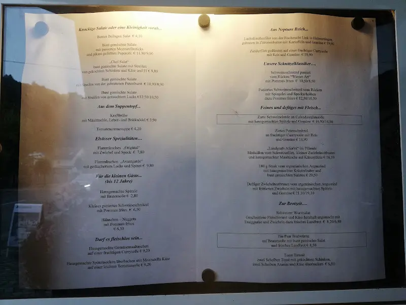 Menu_Hotel Landgasthof Fischer_Altenstadt_immagine_1