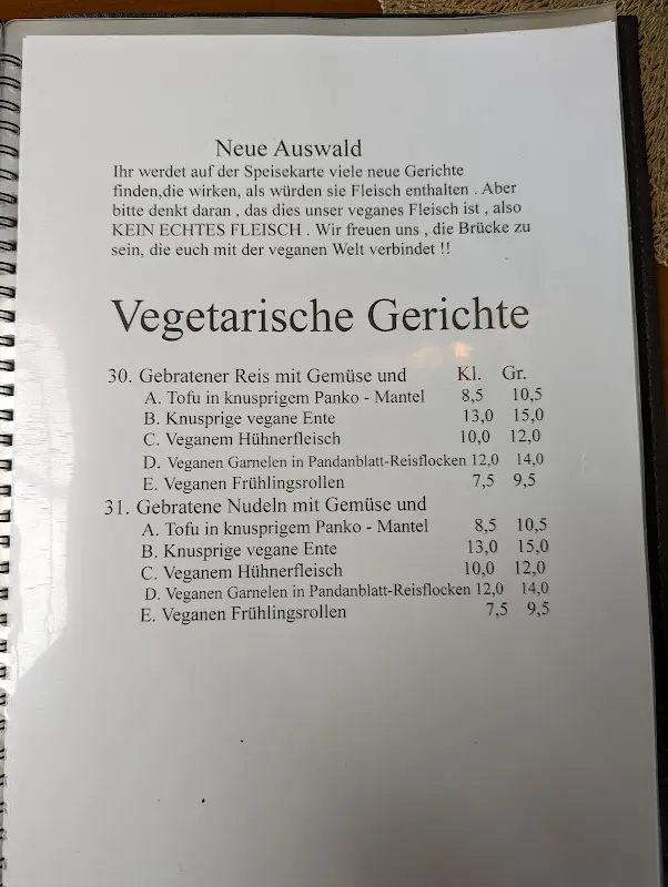 Menu_Asia Dragon_Alsfeld_image_4