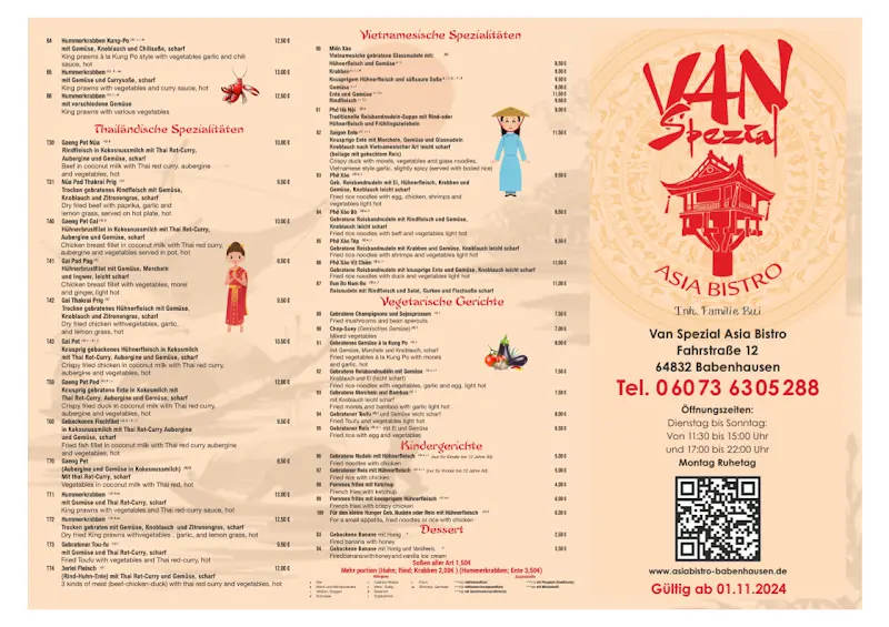 Menu_VAN Spezial Asia Bistro_Babenhausen_image_2