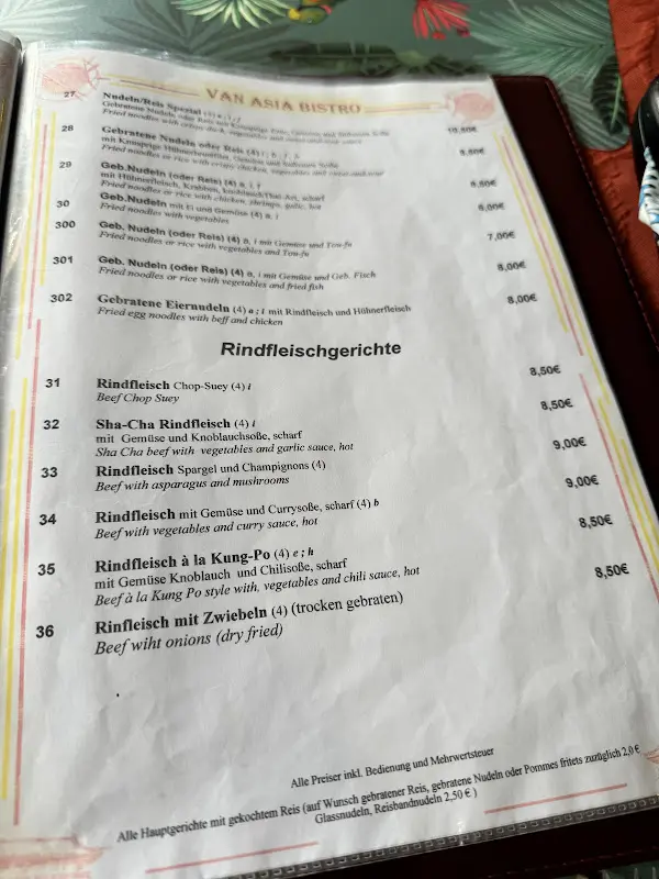 Menu_VAN Spezial Asia Bistro_Babenhausen_image_4