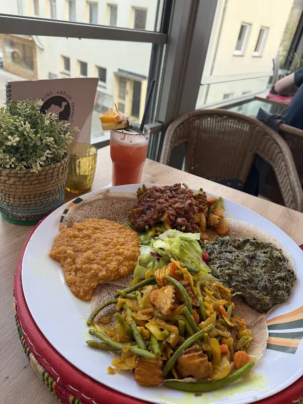 DROMEDAR_Marburg_slider_image_3