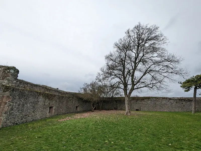Burgruine Amöneburg_Amöneburg_slider_image_3