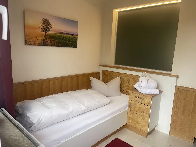 Alexander Gosny_Hotel Luisen-Mühle_Arolsen_review