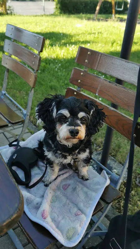 Roland Barsuhn_Rasthaus Bad Hersfeld_Hersfeld_review