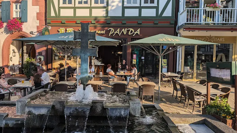 Wolf T_China-Thai Restaurant Panda_Hersfeld_recensione