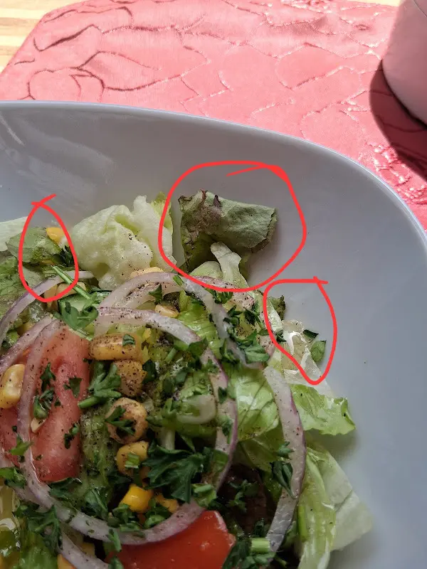 Angelika Müller_Restaurant Athen_Wildungen_review