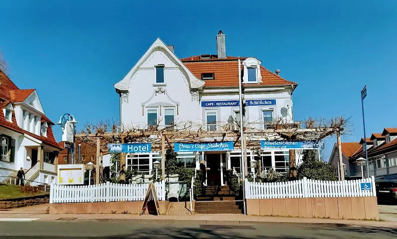 Hotel Allee Schlößchen_Wildungen_slider_image_1