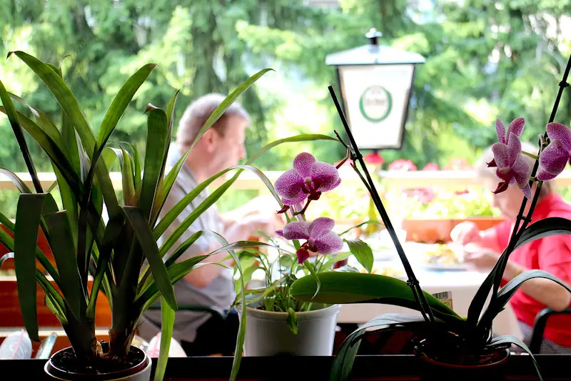 Taverna Kokkino Pouli by Alt Athen_Vilbel_slider_image_3