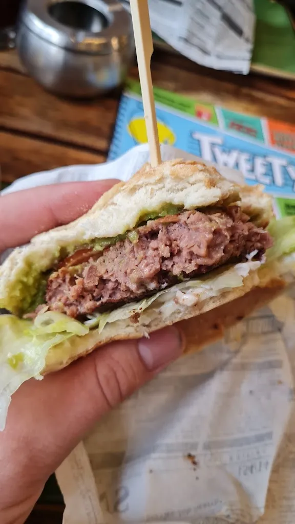 Menu_Tweety_Riß_image_8