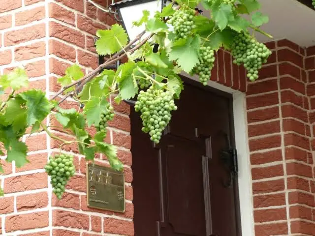 Landgasthaus HOTEL BONN_Baunatal_slider_image_1