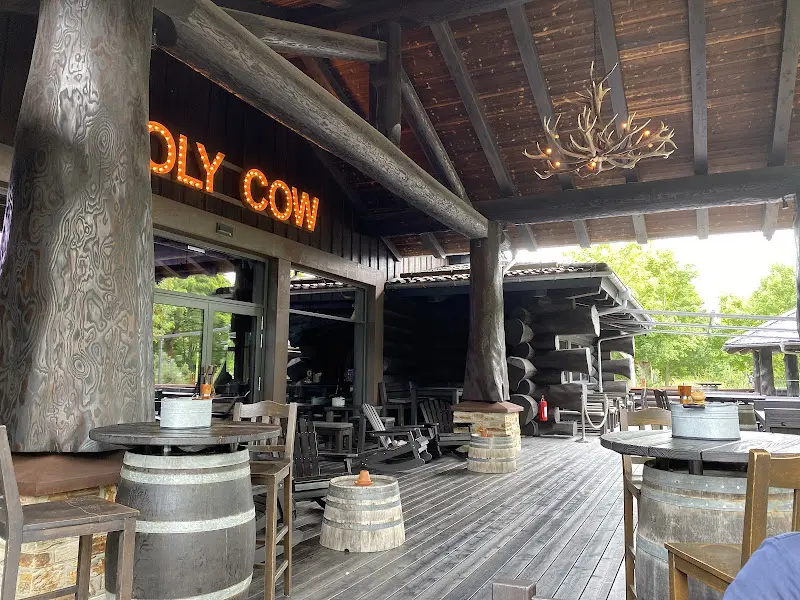 Stefan Vukotić_Timberjacks Kassel_Kassel_review