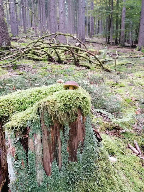 Gasthof Zur Frischen Quelle_Oberzent_slider_image_2