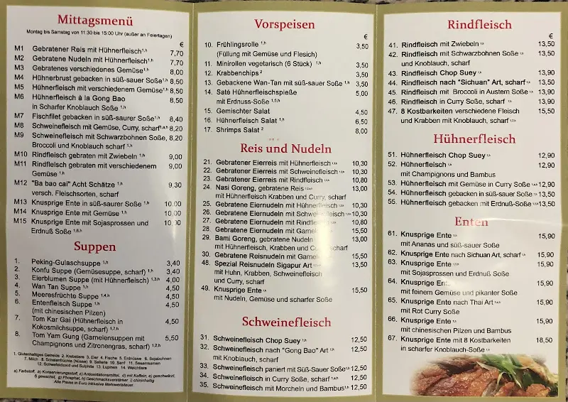 Menu_Asia Restaurant New Palace_Bensheim_immagine_2