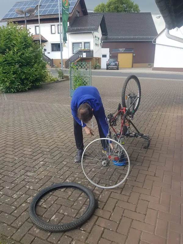 Rafael Bellido_Zum grünen Stern - Klaus Reichert_Birstein_recensione