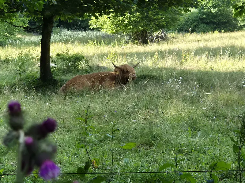 Teresa_Jagdschloss Holzberghof_Rhön_avis