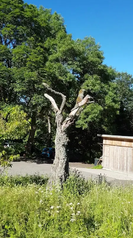 Jagdschloss Holzberghof_Rhön_slider_image_2