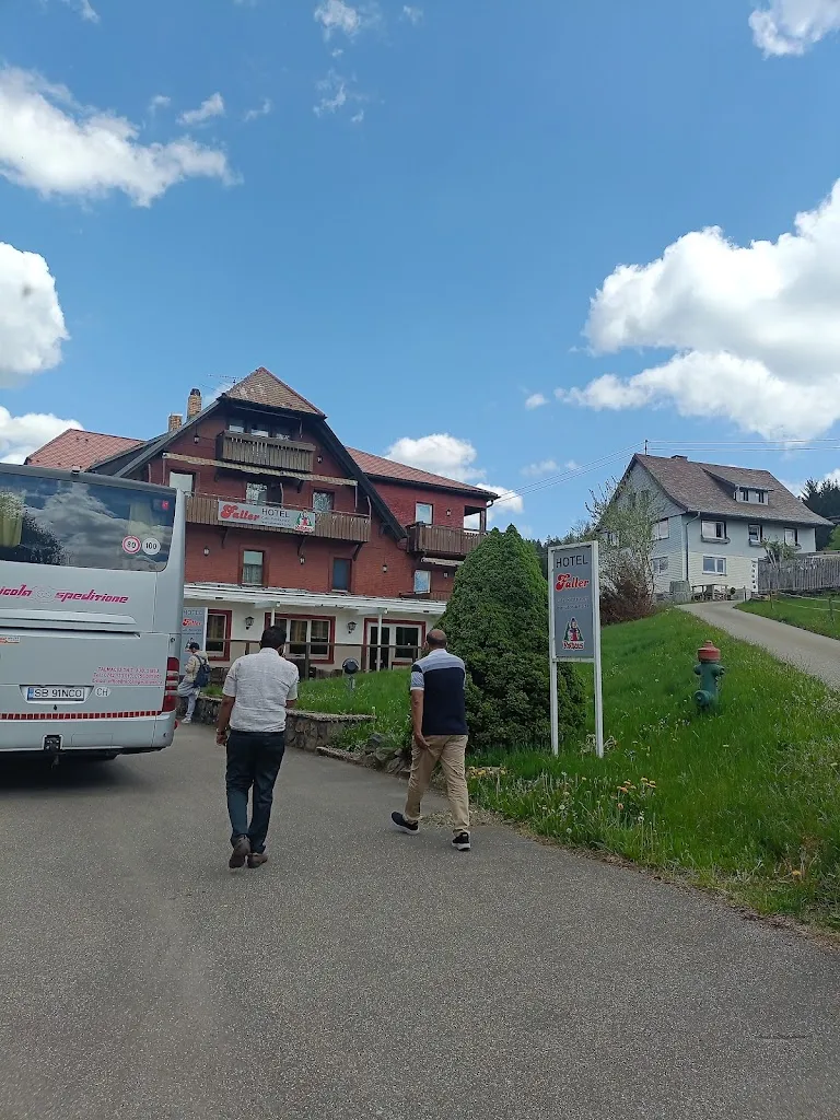 Yash Rai_Hotel Faller_Breitnau_recensione