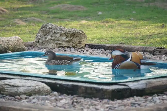 Rappenhof Hotel_Breuna_slider_image_3