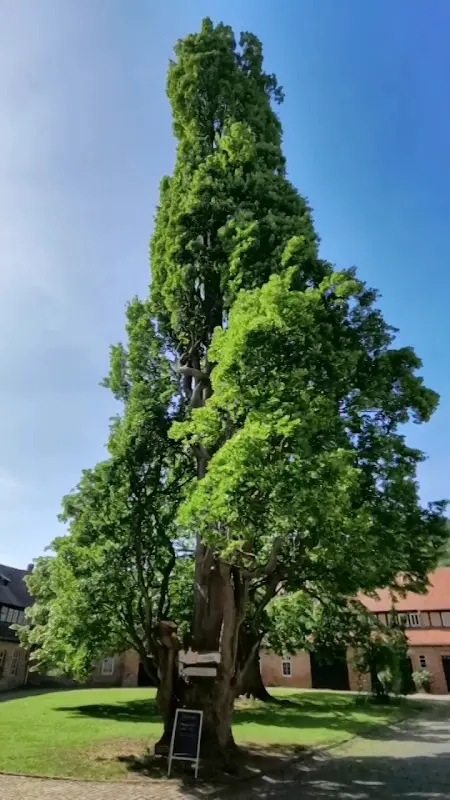 Schloss Büdingen_Büdingen_slider_image_2