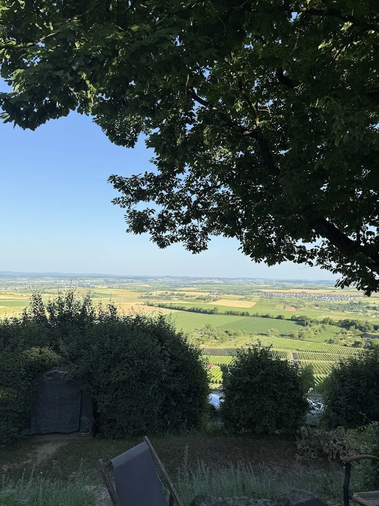 Domnul Adevar_Heuchelberger Warte_Leingarten_review