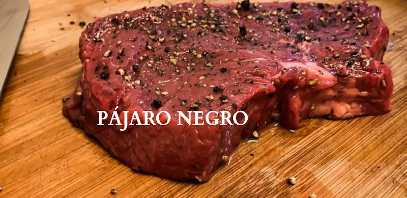 Pajaro Negro - Dieburg_Dieburg_slider_image_3