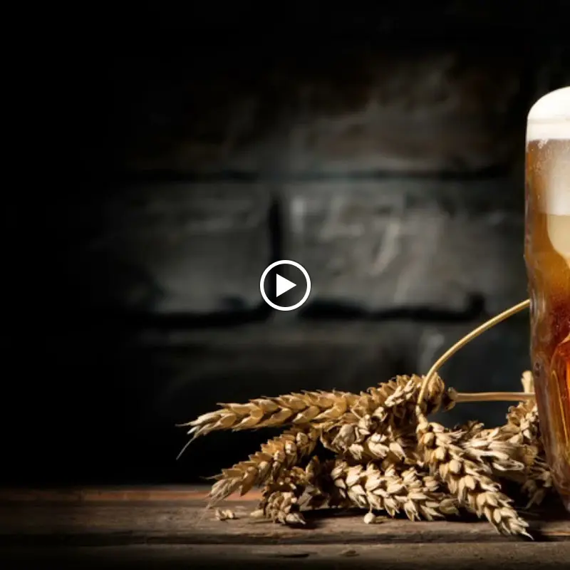 Braustüb'l_Darmstadt_slider_image_3