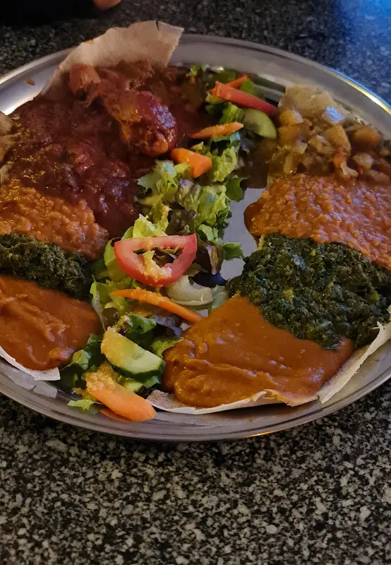 Baobab_Darmstadt_slider_image_3