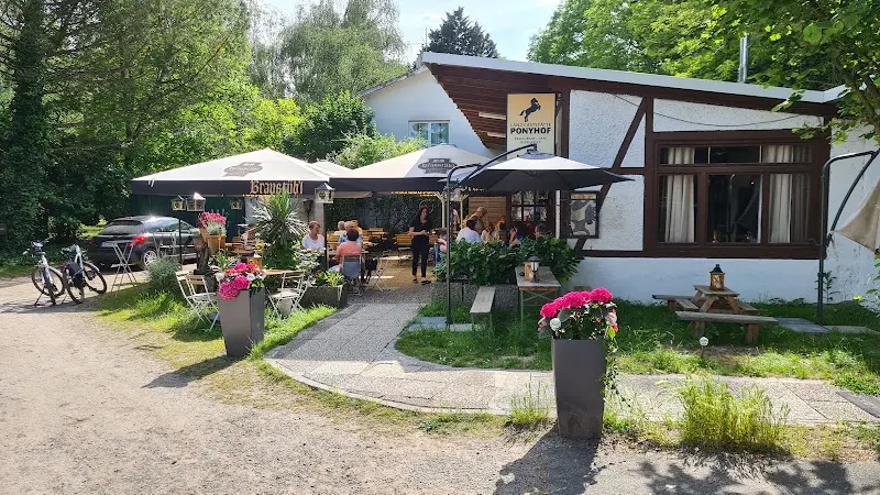 Ponyhof Büttelborn_Büttelborn_slider_image_2