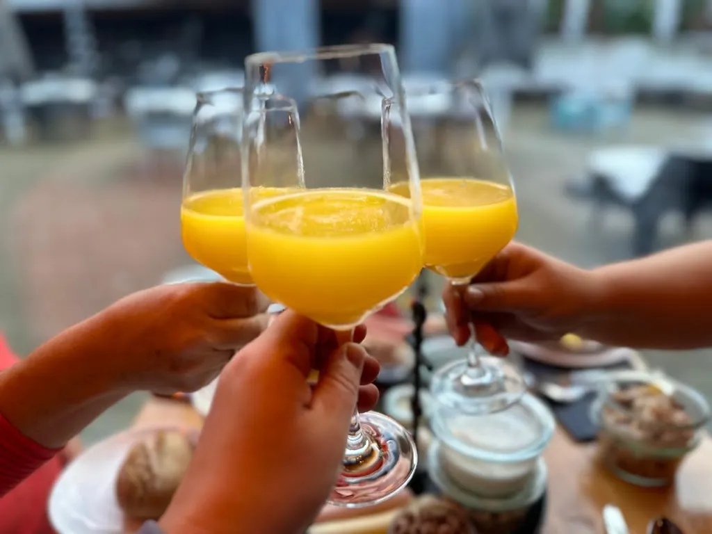 Elli_Karle´s Naturkost Bistro_Buchen_reseña