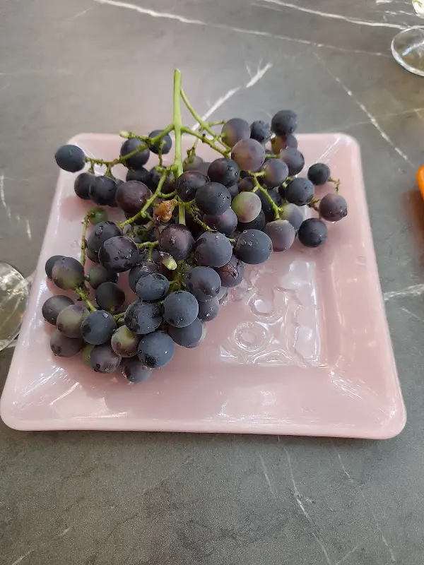 Bella Vita Elz_Elz_slider_image_3