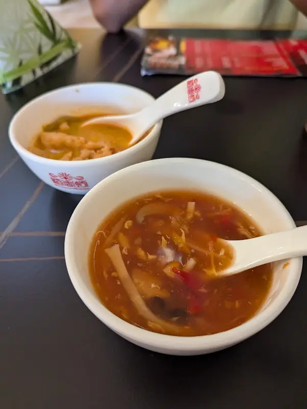 Fatema B_Asiapalast Langen_(Hessen)_review