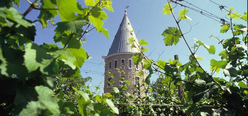 FLÖRSHEIMER WARTE restaurant in Main