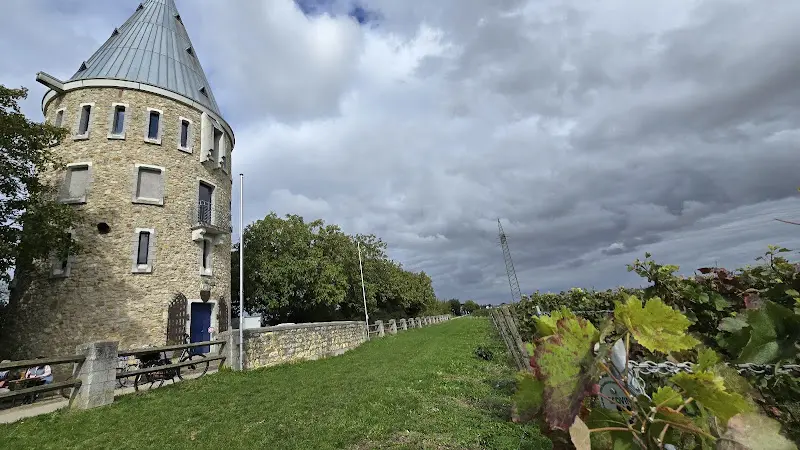 FLÖRSHEIMER WARTE_Main_slider_image_3