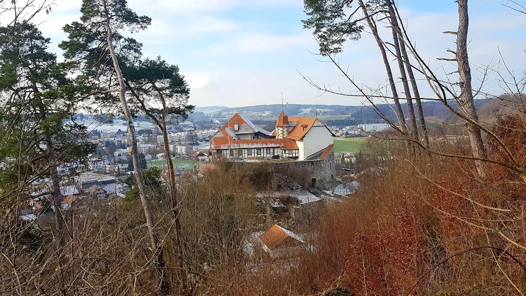 Alejandro Montiel_Schloss Laupen_Laupen_recensione