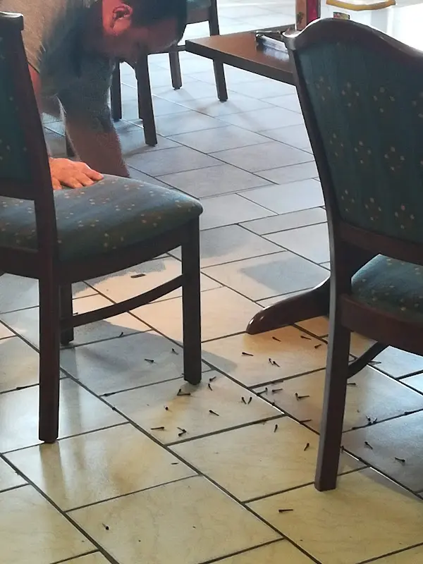 Gasthaus Zum Zechentor_Frielendorf_slider_image_3