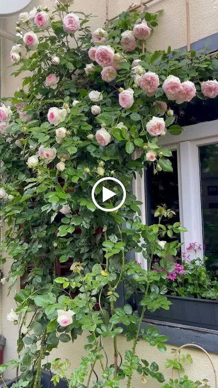 Wasabi Sushi Restaurant_Friedrichsdorf_slider_image_2