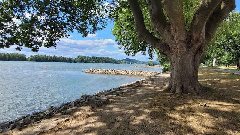 Bootshaus in Geisenheim am Rheinufer_Geisenheim_slider_image_3