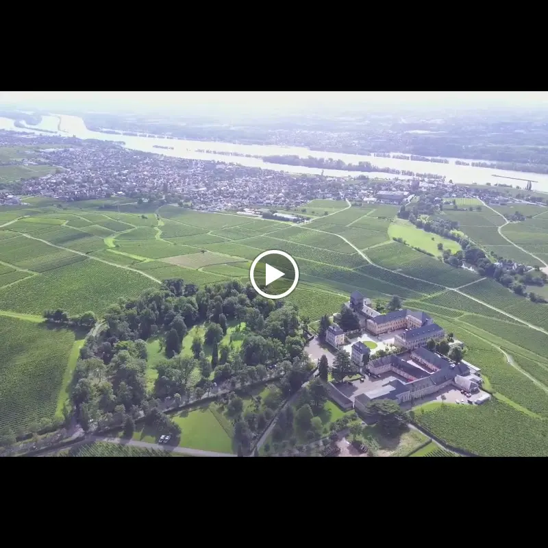 Restaurant Schlossschänke_Geisenheim_slider_image_2