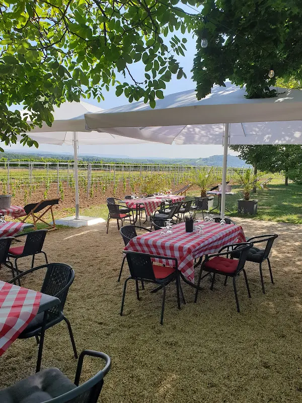 Gutsausschank Turmschänke im Weingut Schumann-Nägler restaurant in Geisenheim