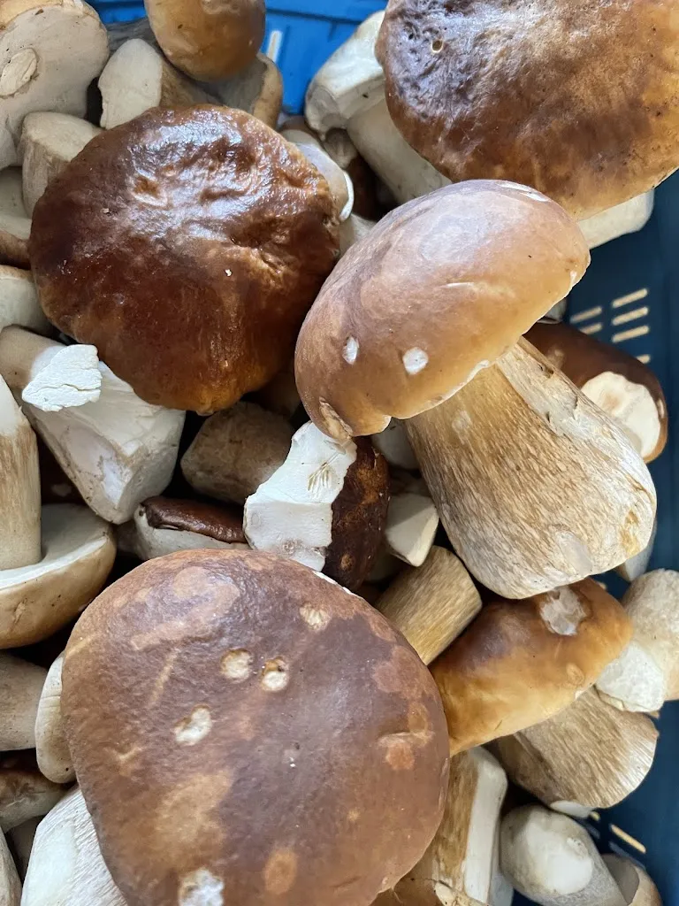 Hotel Restaurant Lamm-Alte Post_Dettenhausen_slider_image_3