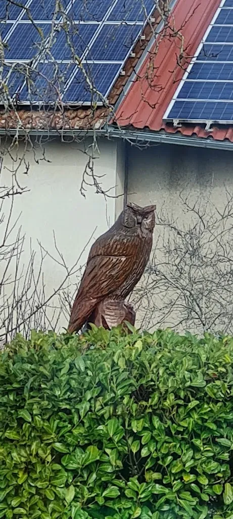 Hirsch_Alfdorf_slider_image_2